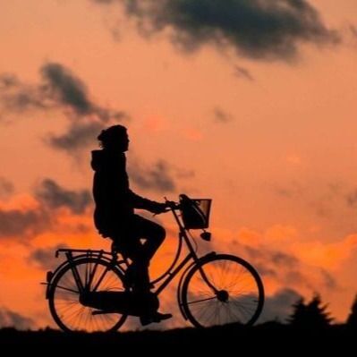 Fiets