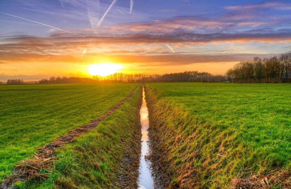 Landschap.jpg