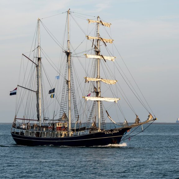 Tall Ships - Eugene Kruisse