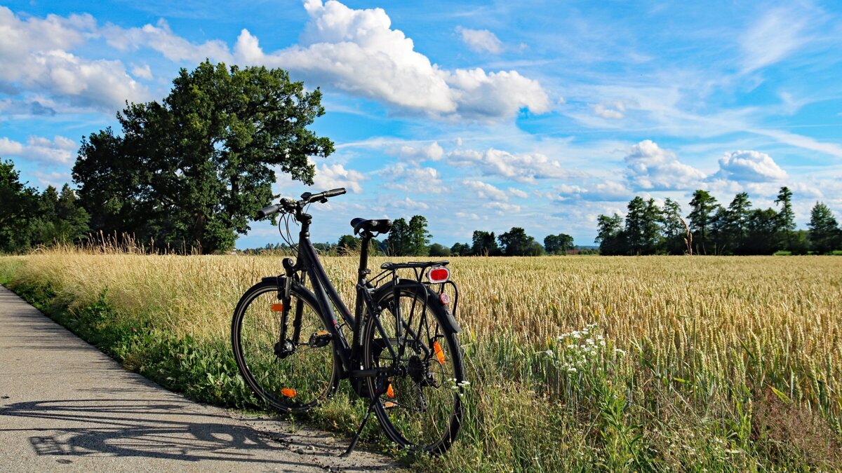 fiets fietstocht pixabay