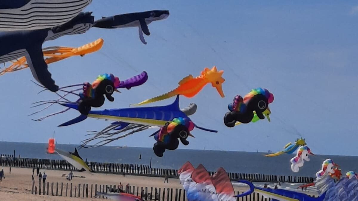 vliegerfestival Cadzand Caricole