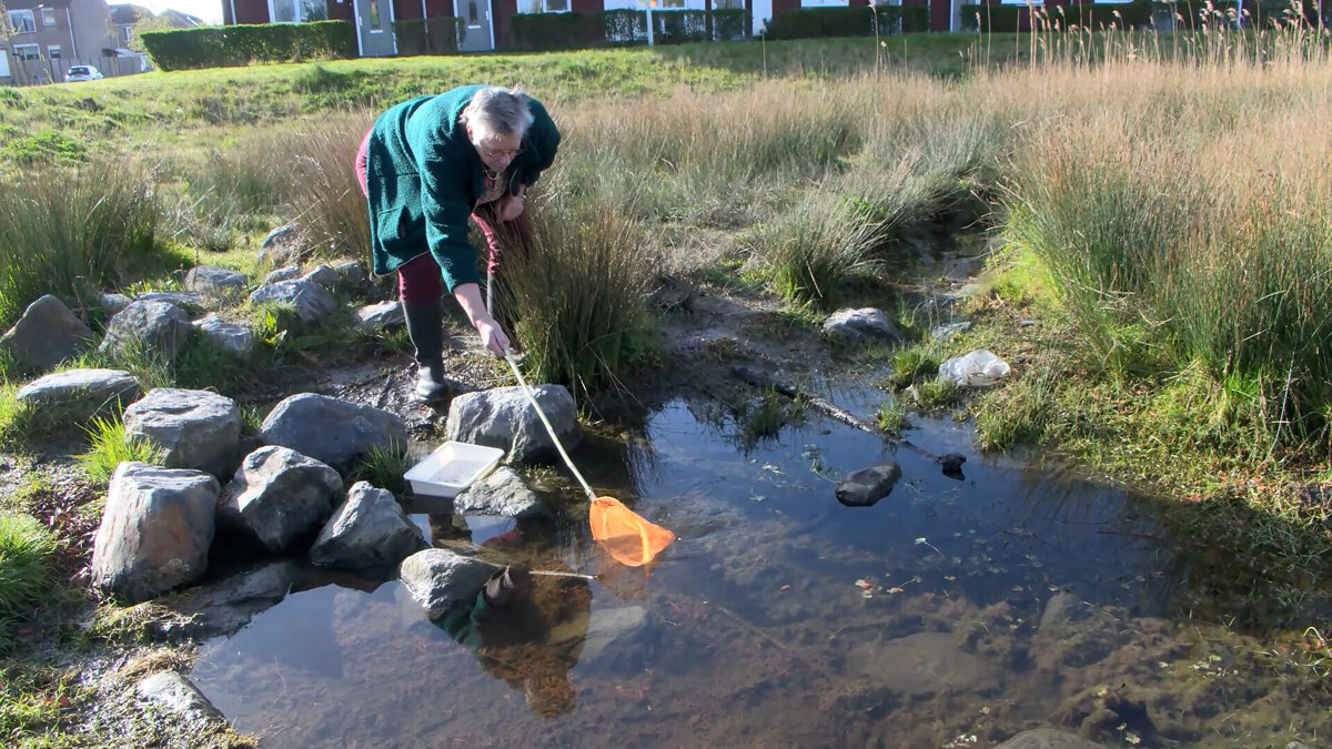 Buiten Gewoon Kikkers 3.jpg