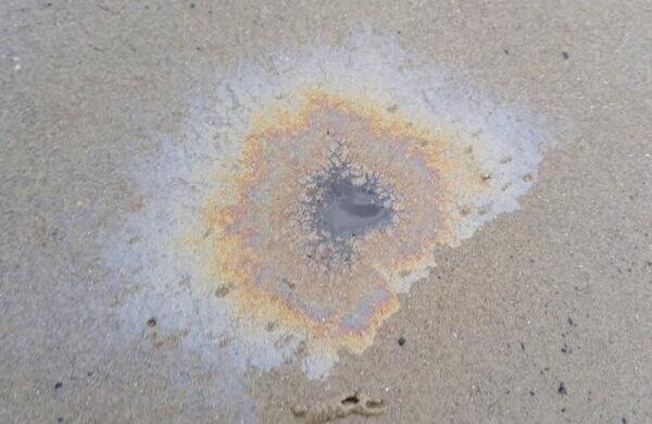 Olielekkage Zeeuwse landschap