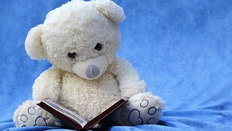 Knuffelbeer lezen