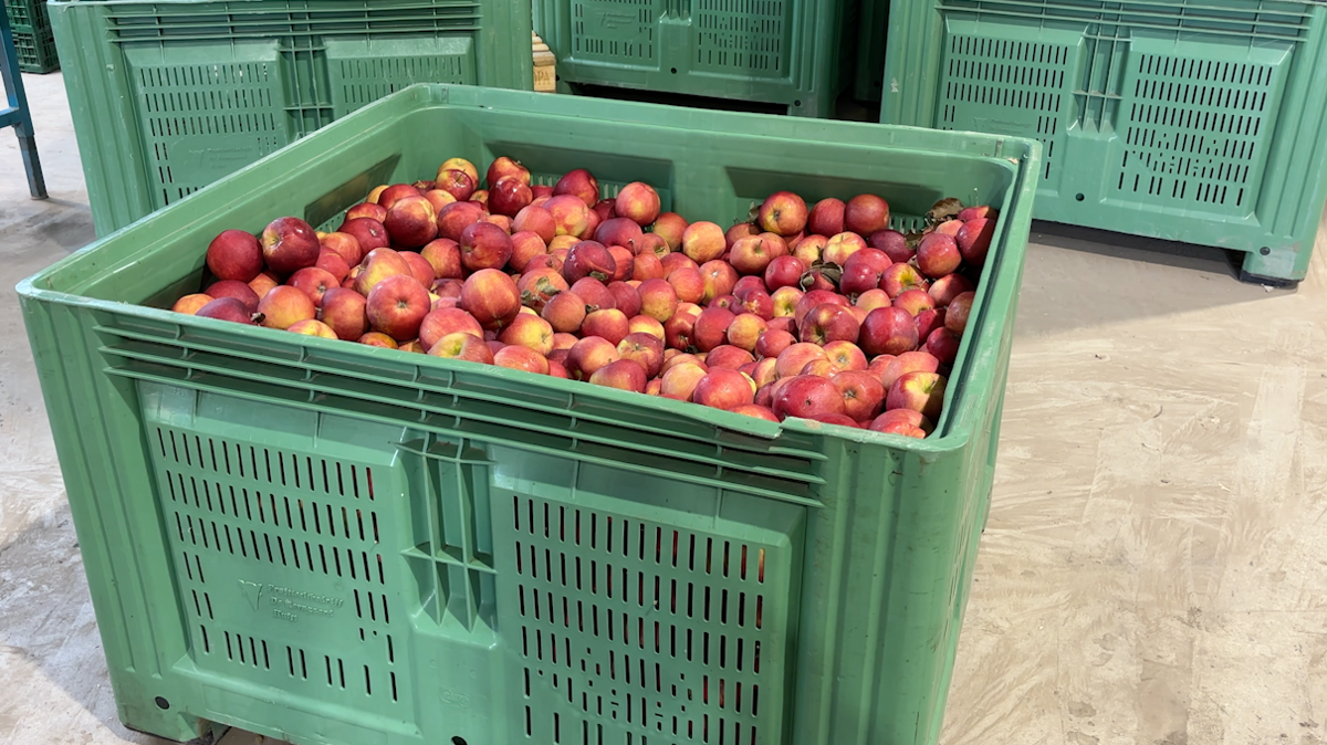 appels.png