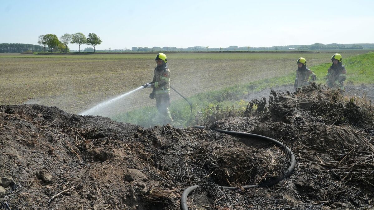 Stapel snoeiafval Axel_3.JPG