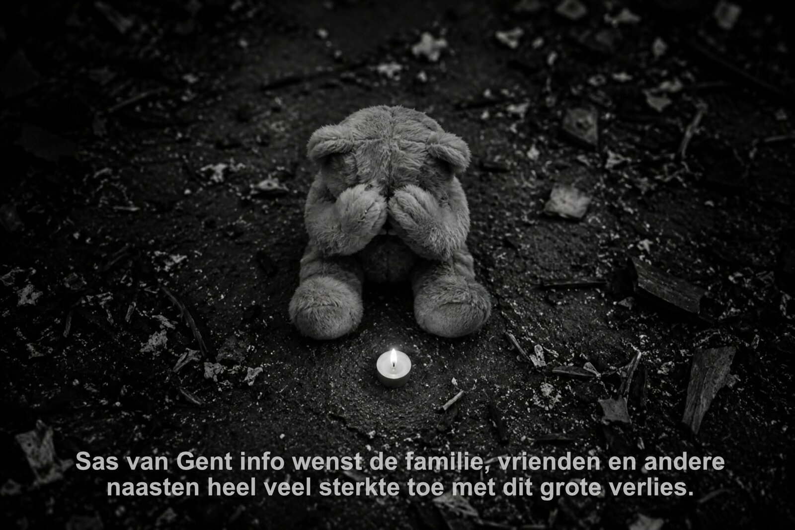 Sas van Gent info