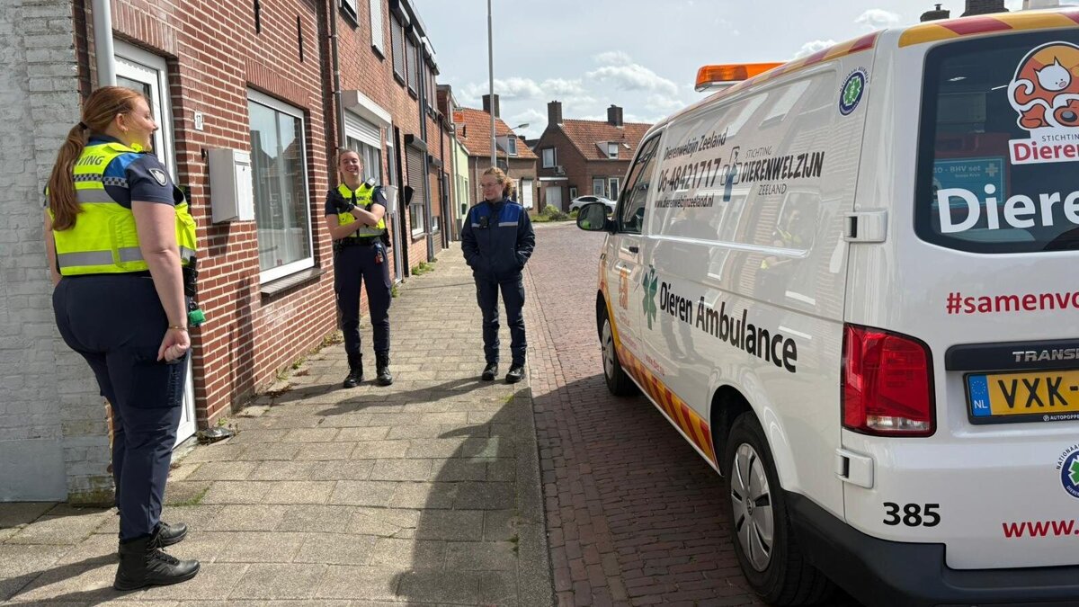 WhatsApp Image 2026-04-12 at 2.12.25 PM.jpeg