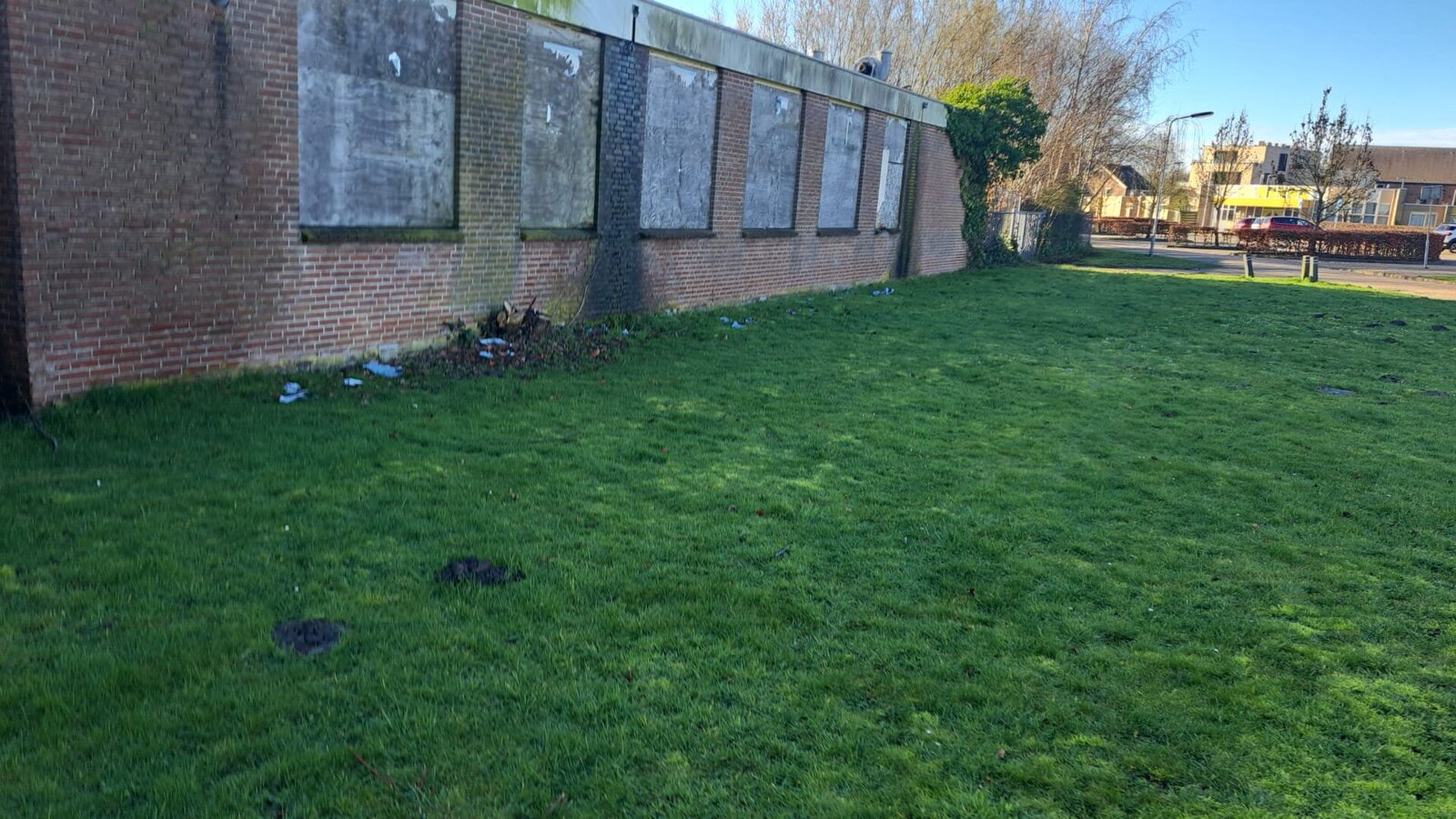 Verdwenen posters Hart voor Terneuzen (2)