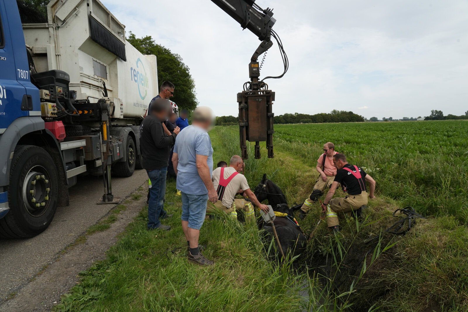 Paard in sloot Ossenisse_2