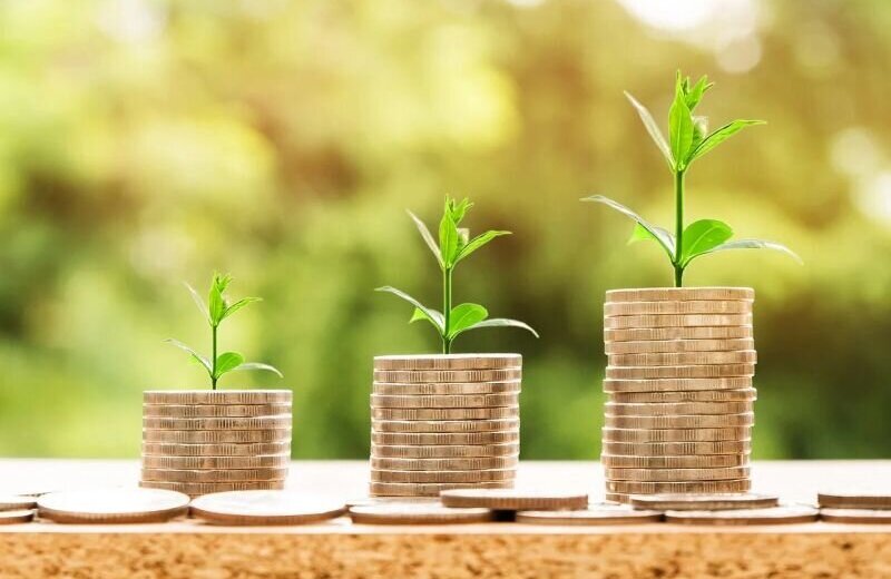 geld groeien plantje