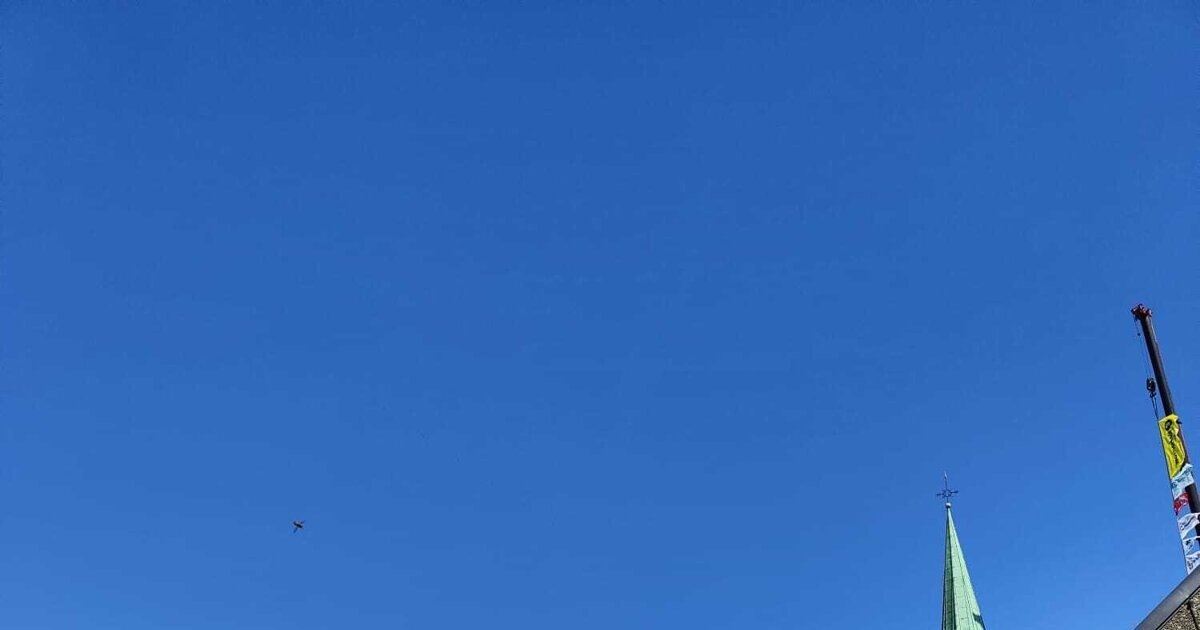 Een dag voor jong en oud: 140e jaarmarkt in Sint Jansteen