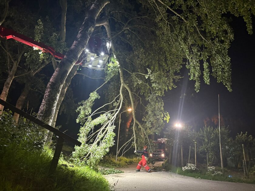 Deel van boom afgebroken in Griete, brandweer ingezet