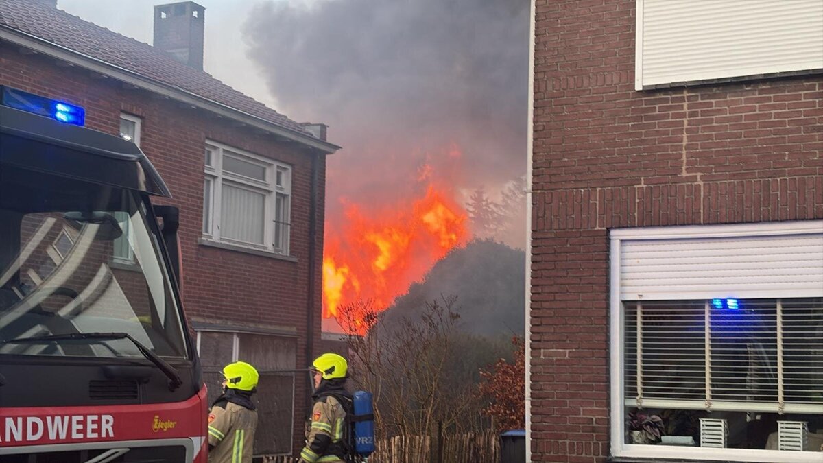 WhatsApp Image 2026-02-17 at 17.44.46.jpeg