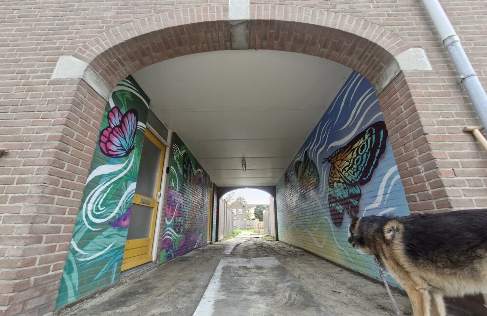poortjes boogjes binnenstad Terneuzen (1)