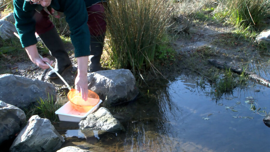 'Geniet van het groen in de stad'