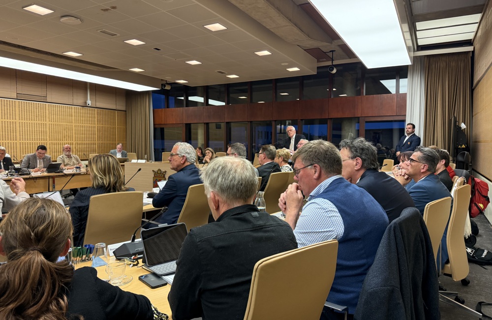 Gemeenteraad Terneuzen formatie