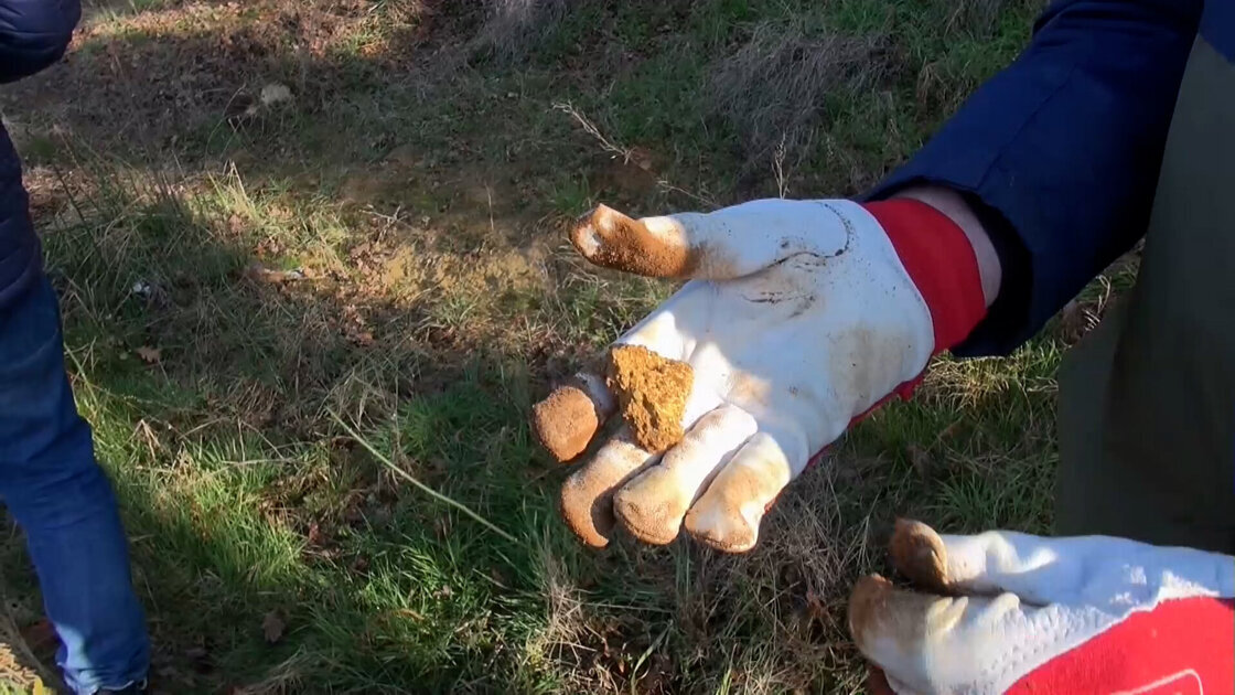 Opschoondag Mr. van der Heijdengroeve