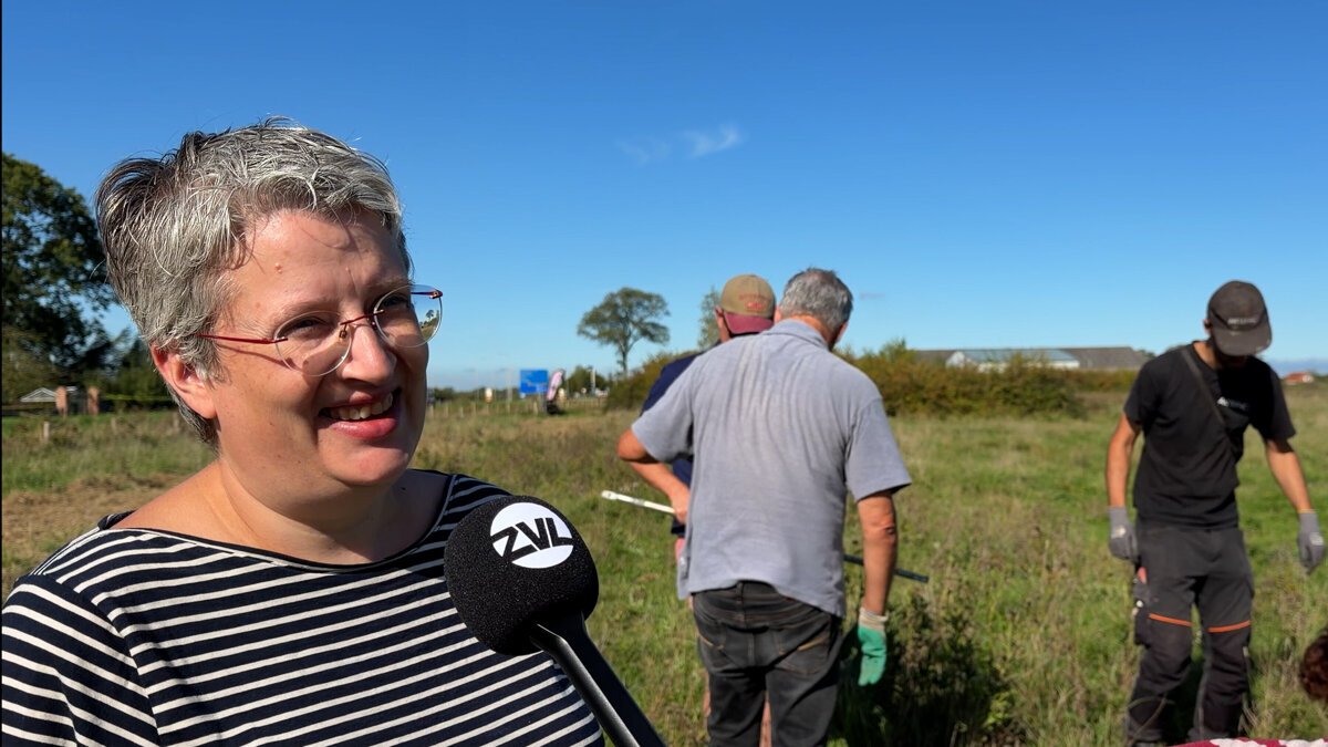 Archeologisch booronderzoek 7
