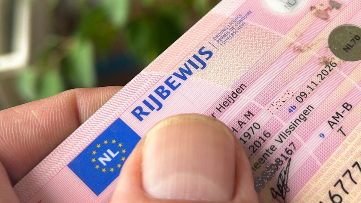 Rijbewijs.png