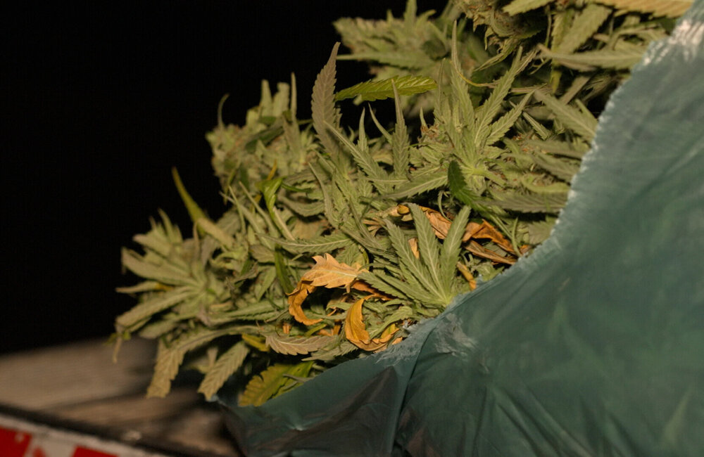 Archief_112_Hennep_3