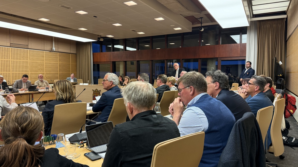 Gemeenteraad Terneuzen formatie