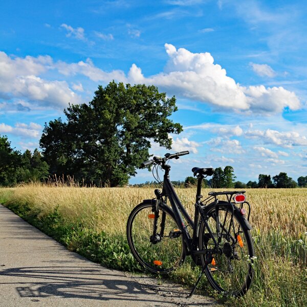 fiets fietstocht pixabay