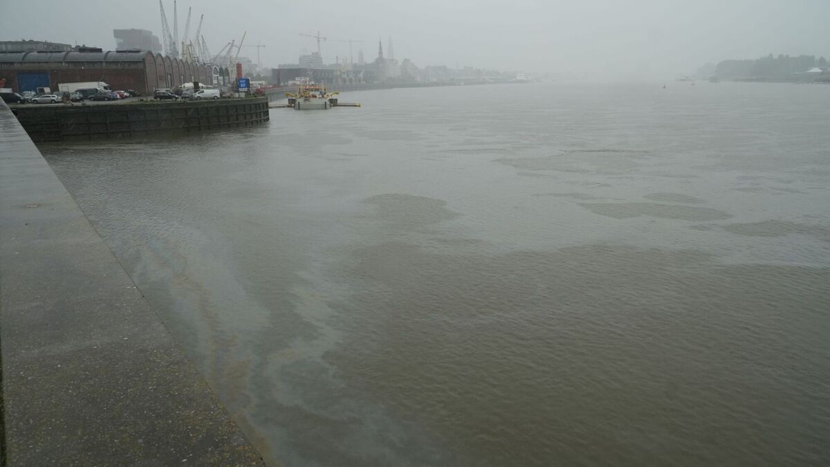 Foto_8_Olie lekt schelde in na zinkend schip_2026.04.17 .JPG