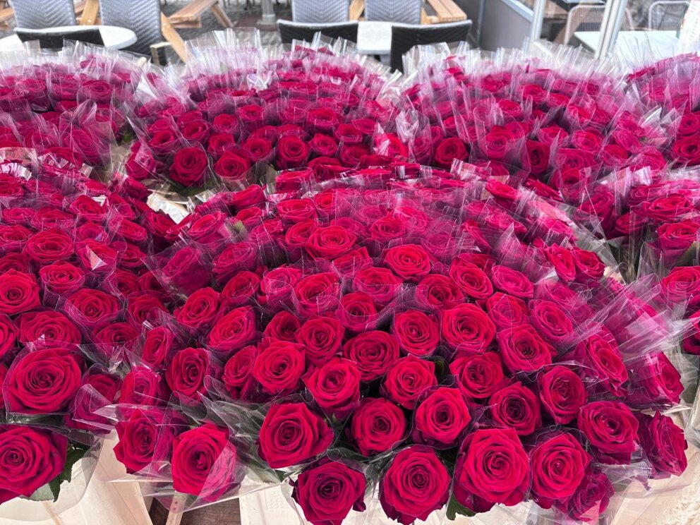 Ride for the Roses 28