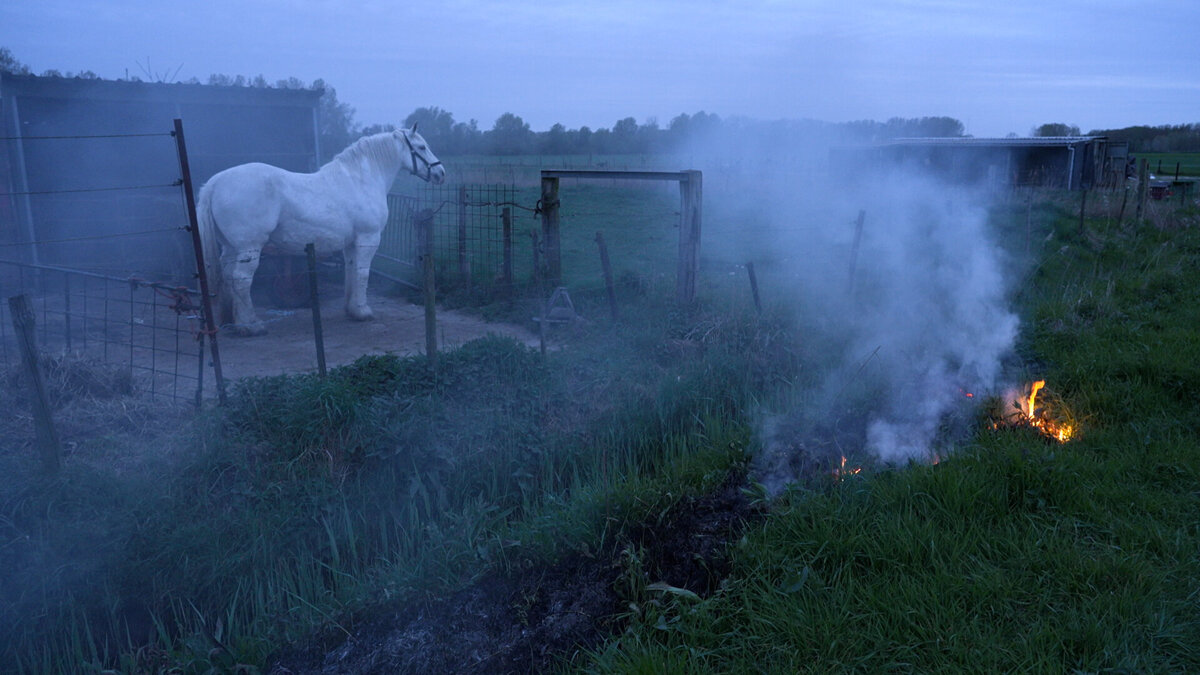 2026.04.10 Buitenbrand in Hulst, paarden in de rook.00_00_08_30.Still001.jpg