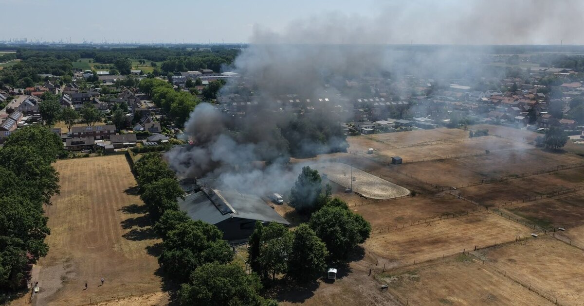 Grote brand in stal Clinge; Twee paarden overleden