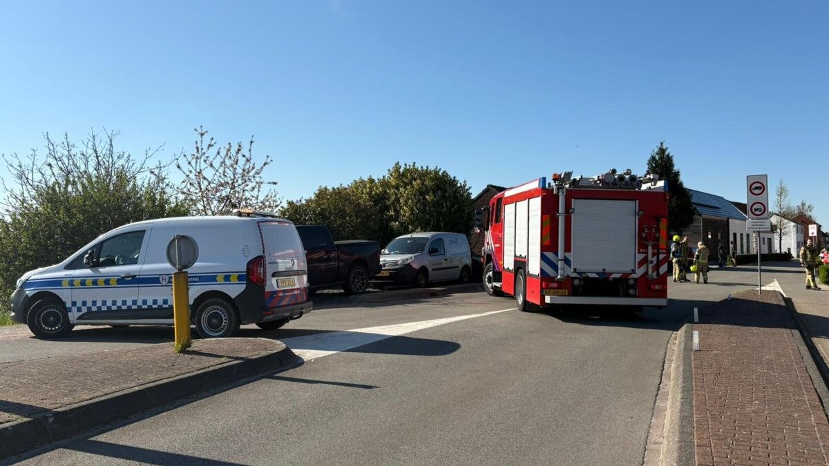 WhatsApp Image 2026-04-08 at 12.45.46 PM.jpeg