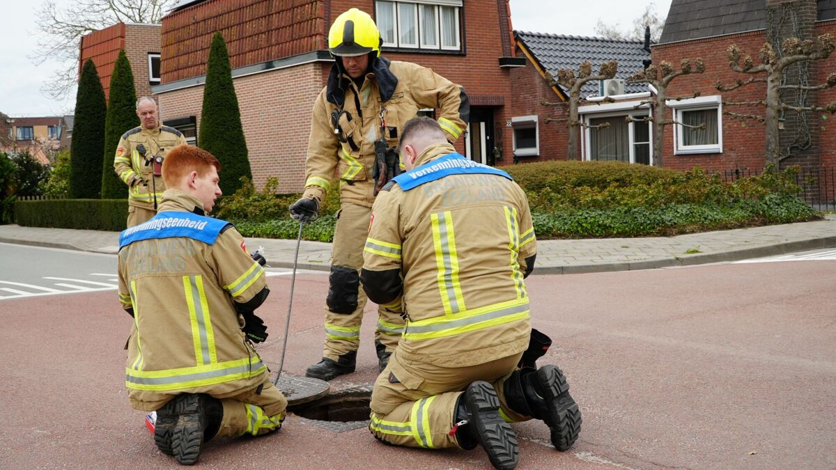 Foto_4_Stank-hinder Westdorpe_2026.03.29.JPG