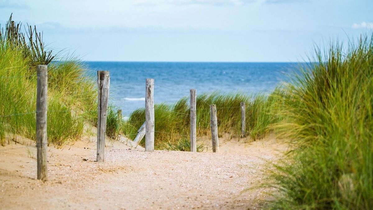 Duinen.jpg