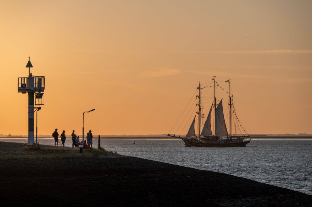 Tall Ships - Eugene Kruisse 31