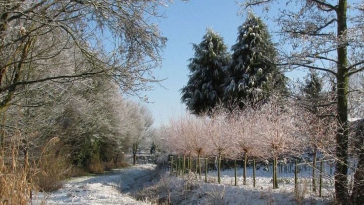 Landschap sneeuw.jpg