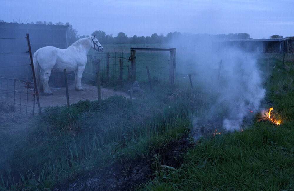 2026.04.10 Buitenbrand in Hulst, paarden in de rook.00_00_08_30.Still001.jpg