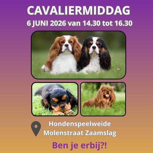 Jouw alineatekst (1)