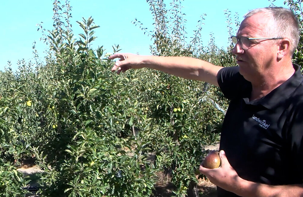 Jubileum Fruitbedrijf van Assche 2