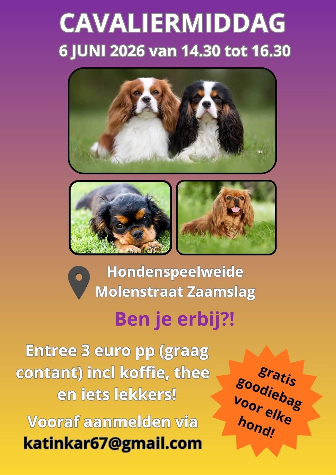 Jouw alineatekst (1)