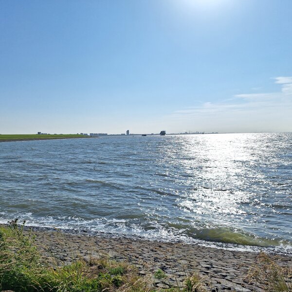 Westerschelde Foto Sonja Filius.jpg