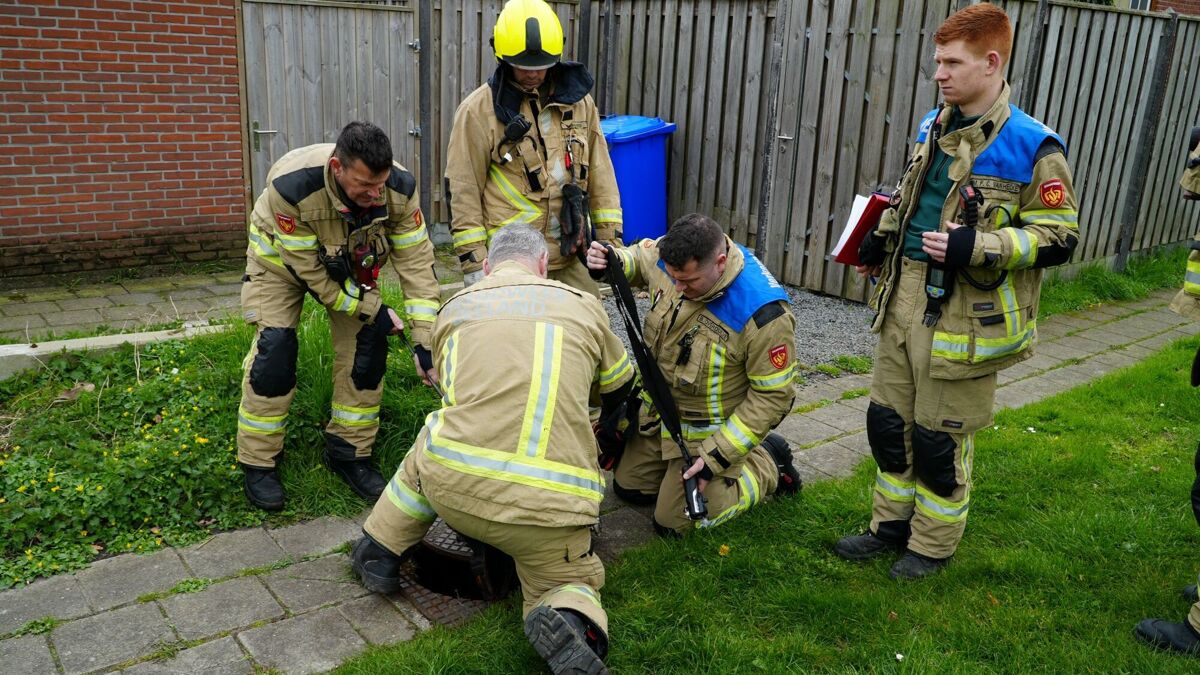 Foto_7_Stank-hinder Westdorpe_2026.03.29.JPG