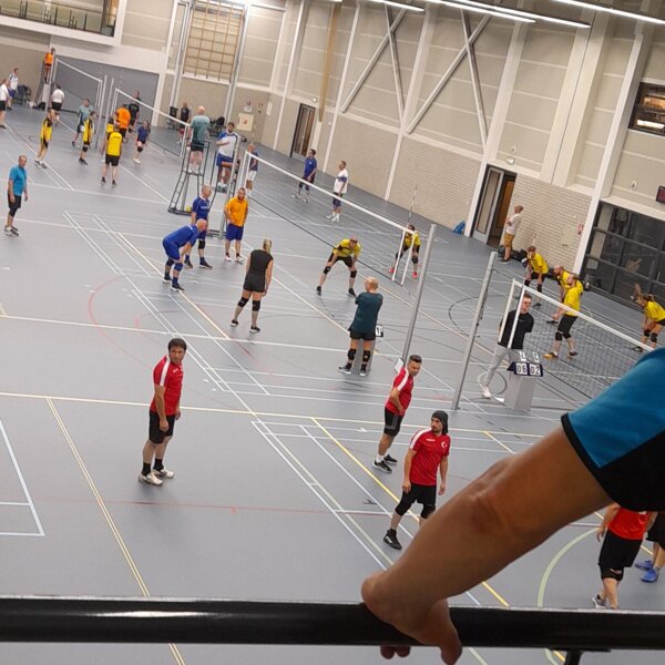 BeVoBo Terneuzen.jpg