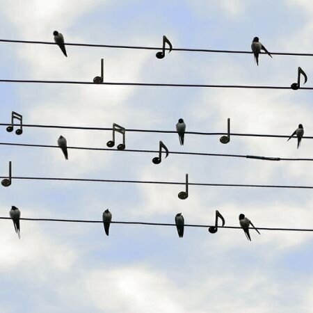 muziek noten lucht