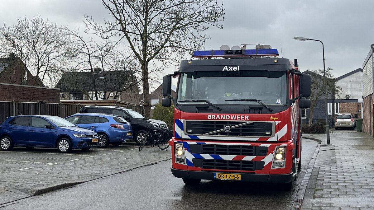 Foto2_Dier bekneld onder motorkap van auto, brandweerlieden schieten te hulp.jpeg
