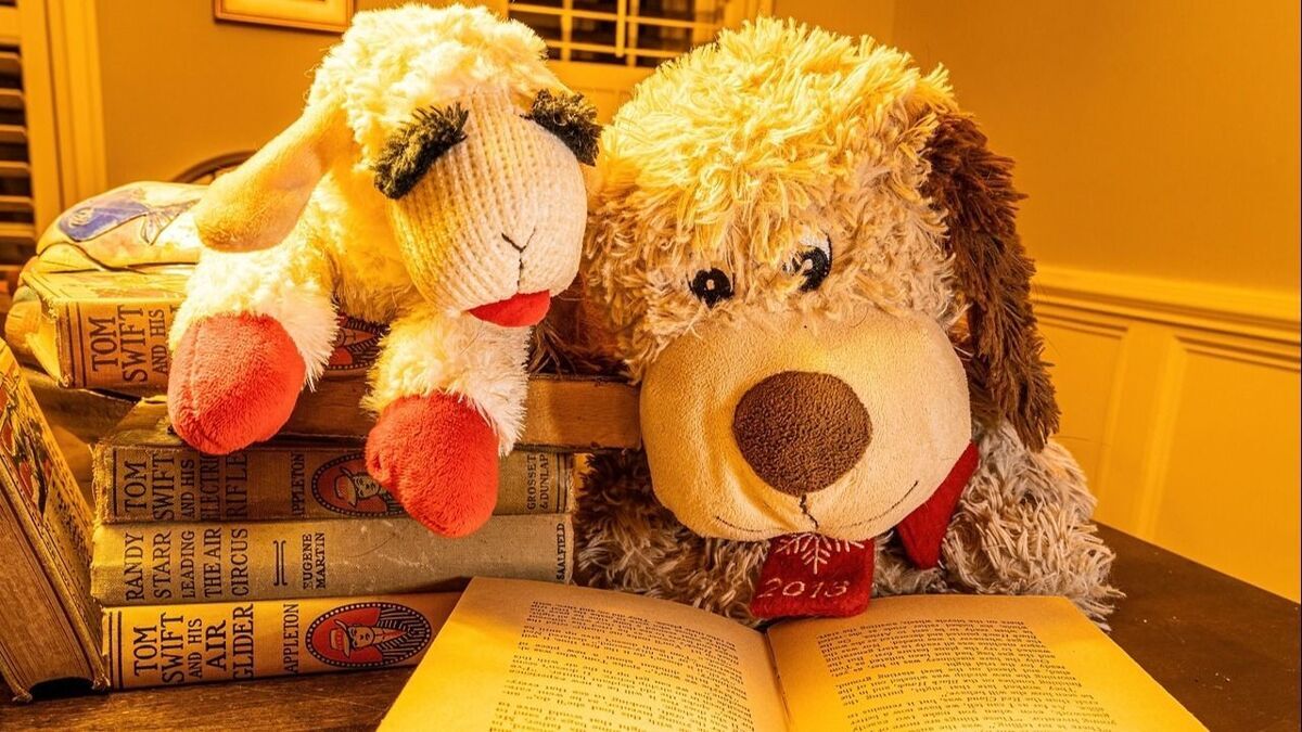 knuffels boek.jpg