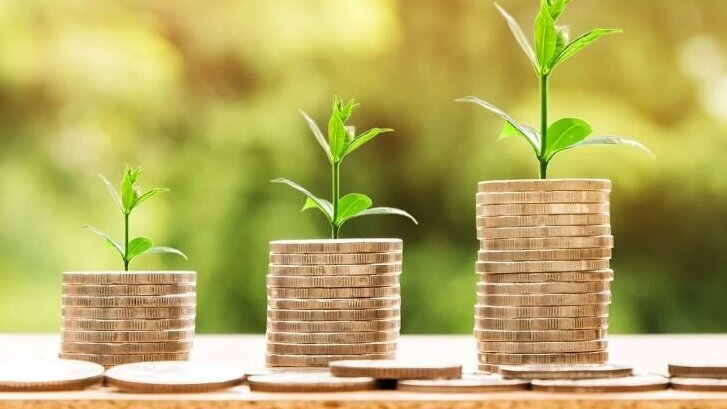 geld groeien plantje.jpg