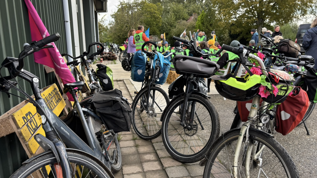 Ride The Tide klimaat