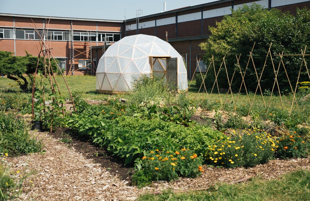 Charlotte Daniëlse (C) tuin van Nesse