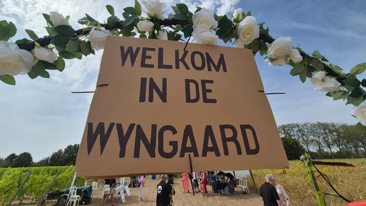 Open dag wijngaar Bossenblie - ©Marianne van Belleghem (1)